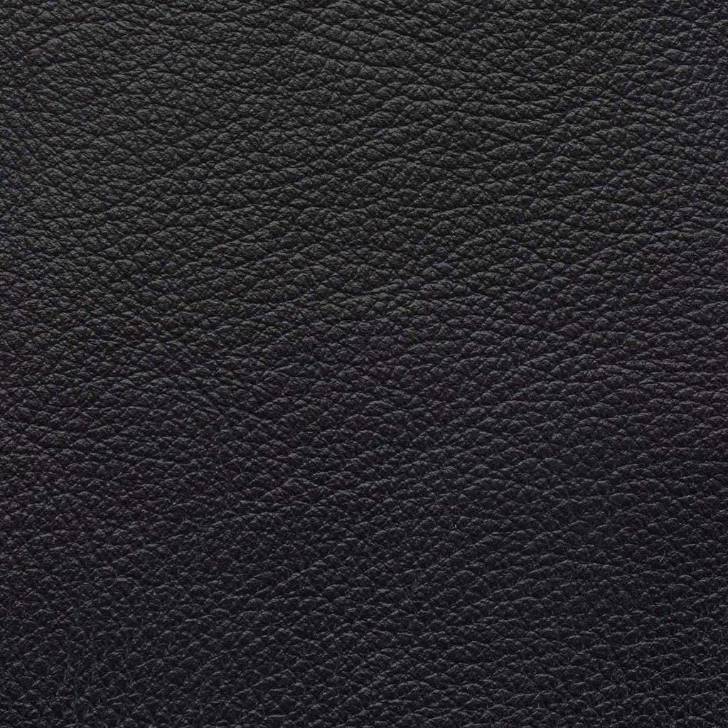 Aniline Leather - Black