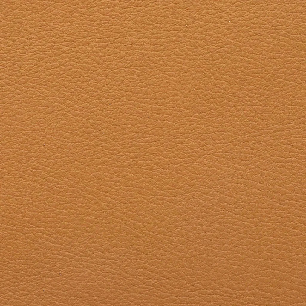 Aniline Leather - Camel