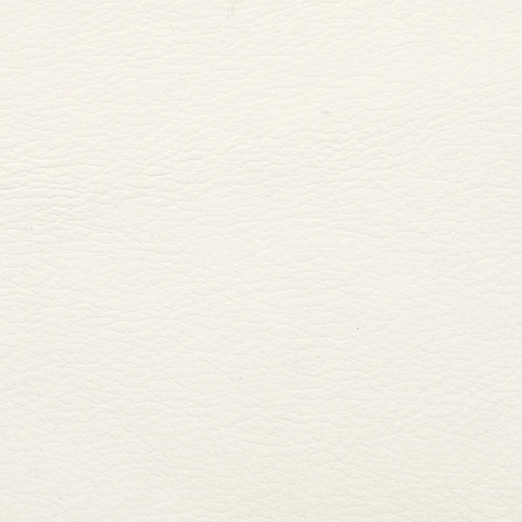 Aniline Leather - White