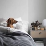 Haller P2 Bedside Table Replica by Fritz Haller for USM - Image 2