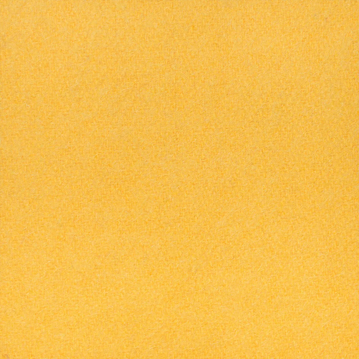 Cashmere - Dijon Yellow