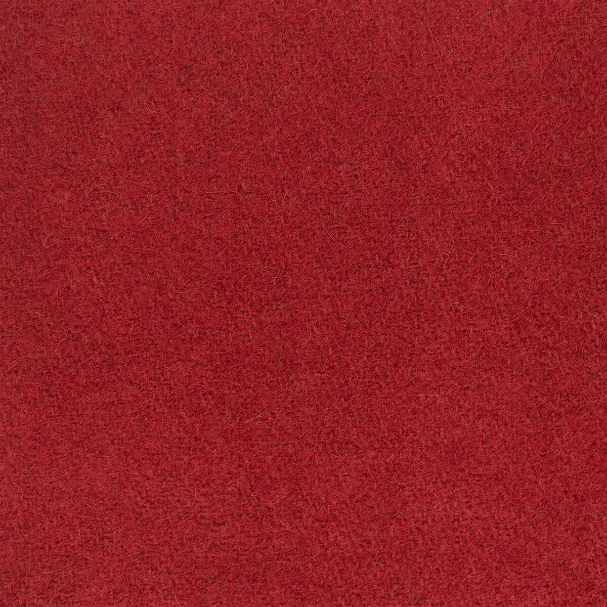 Cashmere - Imperial Red